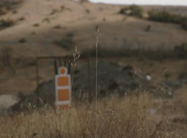 Меткий стрелок — 2025